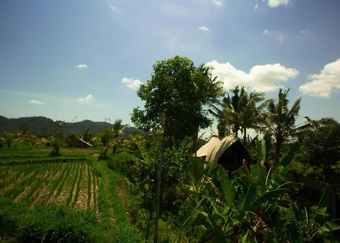 Bed & Breakfast Jero Tumbuk Bamboo House