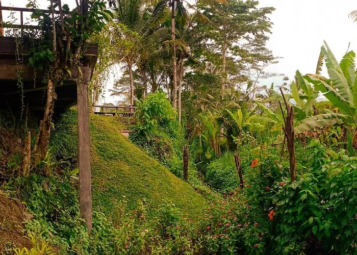 Jero Tumbuk Bamboo House Bed & Breakfast