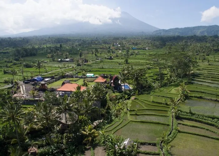 Bed & Breakfast Jero Tumbuk Bamboo House *